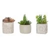 Hot Sale ✔️ Glitzhome® Succulent Trio in Cement Pots 🎁 -Glitzhome Sales D238305S 1