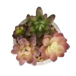 Hot Sale ✔️ Glitzhome® Succulent Trio in Cement Pots 🎁 -Glitzhome Sales D238305S 6