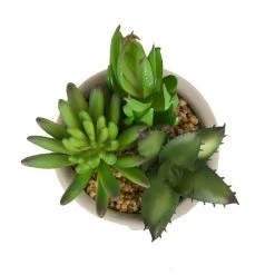 Hot Sale ✔️ Glitzhome® Succulent Trio in Cement Pots 🎁 -Glitzhome Sales D238305S 8