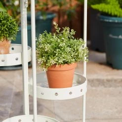 Discount ⌛ Glitzhome® Foldable Multi-Tiered Round Metal Planter Stand ✔️ 17 Discount ⌛ Glitzhome® Foldable Multi-Tiered Round Metal Planter Stand ✔️ -Glitzhome Sales D583520S 6