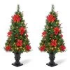 Cheap 🤩 Glitzhome® 2 Pack 4ft. Pre-Lit Pine Artificial 🔔 Christmas Porch Tree, Warm White LED Lights 🤩 -Glitzhome Sales D652273S 1