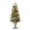 Promo 👍 Glitzhome® 4ft. Pre-Lit Pine Artificial 🎄 Christmas Porch Tree, Warm White LED Lights ✔️ 1 Promo 👍 Glitzhome® 4ft. Pre-Lit Pine Artificial 🎄 Christmas Porch Tree, Warm White LED Lights ✔️ -Glitzhome Sales D652276S 1