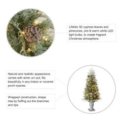 Promo π Glitzhome® 4ft. Pre-Lit Pine Artificial π Christmas Porch Tree, Warm White LED Lights βοΈ 13 Promo π Glitzhome® 4ft. Pre-Lit Pine Artificial π Christmas Porch Tree, Warm White LED Lights βοΈ -Glitzhome Sales D652276S 5