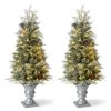 Outlet π₯° Glitzhome® 2 Pack 4ft. Pre-Lit Pine Artificial π Christmas Porch Tree, Warm White LED Lights 𧨠1 Outlet π₯° Glitzhome® 2 Pack 4ft. Pre-Lit Pine Artificial π Christmas Porch Tree, Warm White LED Lights 𧨠-Glitzhome Sales D652279S 1