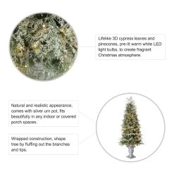 Hot Sale 🧨 Glitzhome® 2 Pack 5ft. Pre-Lit Pine Artificial 🎄 Christmas Porch Tree, Warm White LED Lights 🔔 -Glitzhome Sales D652283S 8