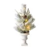 Top 10 π Glitzhome® 2ft. Pre-Lit Flocked Pinecone & Berries Table Tree in Urn π 1 Top 10 π Glitzhome® 2ft. Pre-Lit Flocked Pinecone & Berries Table Tree in Urn π -Glitzhome Sales D652290S 1